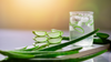 Mystery Revealed: Does Aloe Vera Help for Weight Loss?
