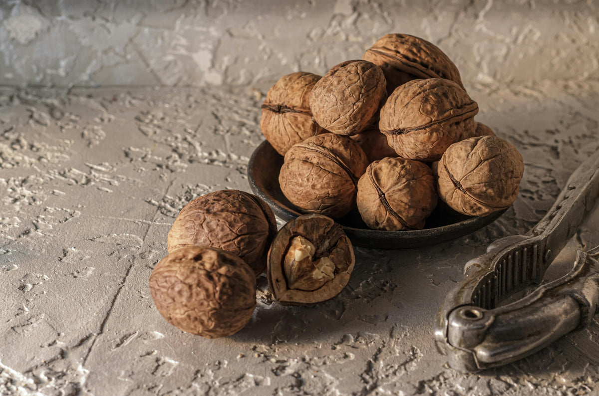 Improve your Memory: Benefits of Walnuts for the Brain