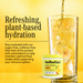#flavor_Mango