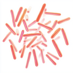 Probiotics (Bacillus Coagulans) Image