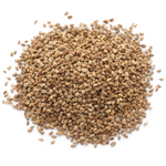 Celery Seed Image