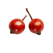 Guarana Seed
