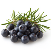 Juniper Berries