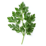 Parsley Extract Image