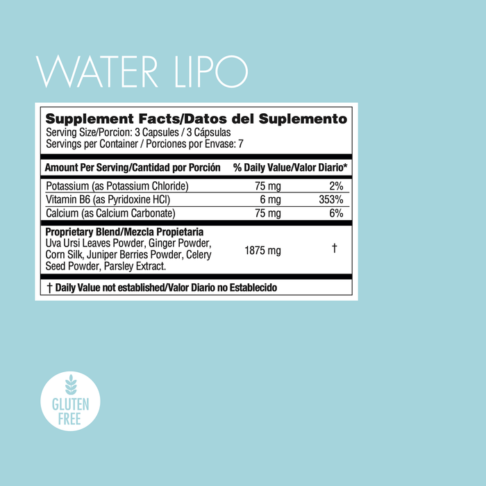 Lush Yes You Can Water Lipo Landscape for Your Screen Lush Yes You Can Water Lipo Landscape for Your Screen