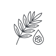 Acacia Fiber
