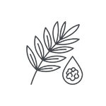 Acacia Fiber Image