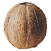 Concentrated Coconut Water
