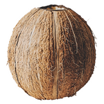 Concentrated Coconut Water Image