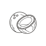 Coconut-Derived MCTs Image