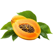 Polvo de Hoja de Papaya