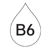 Vitamin B6 (6 mg)